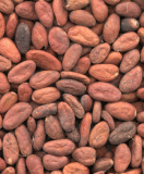 Cocoa Beans